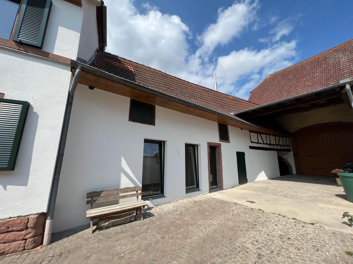 Restaurierter Altbau Mit Privatem Innenhof & Parkplatz Grossfischlingen Dış mekan fotoğraf